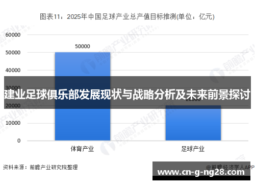 建业足球俱乐部发展现状与战略分析及未来前景探讨