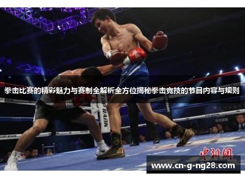 拳击比赛的精彩魅力与赛制全解析全方位揭秘拳击竞技的节目内容与规则