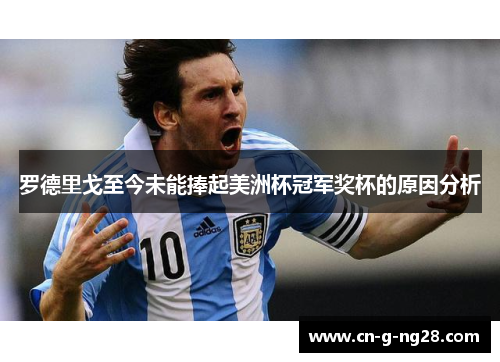 罗德里戈至今未能捧起美洲杯冠军奖杯的原因分析